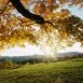 Imagen de Naturaleza y tranquilidad