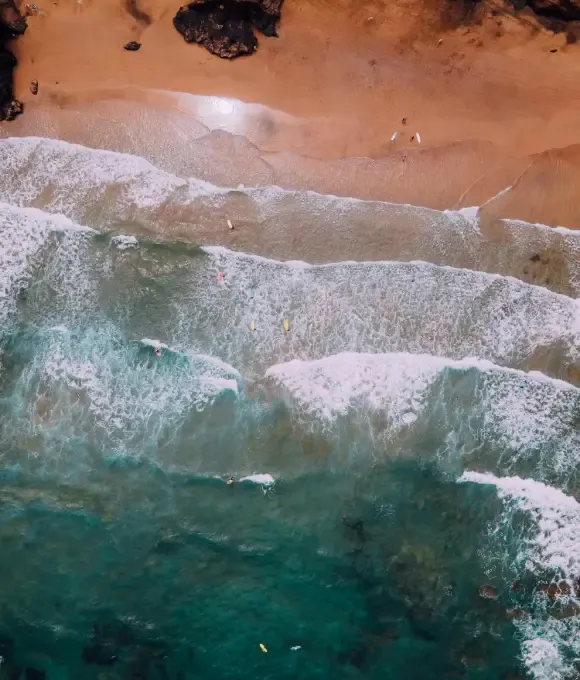 Imagen de Canarias