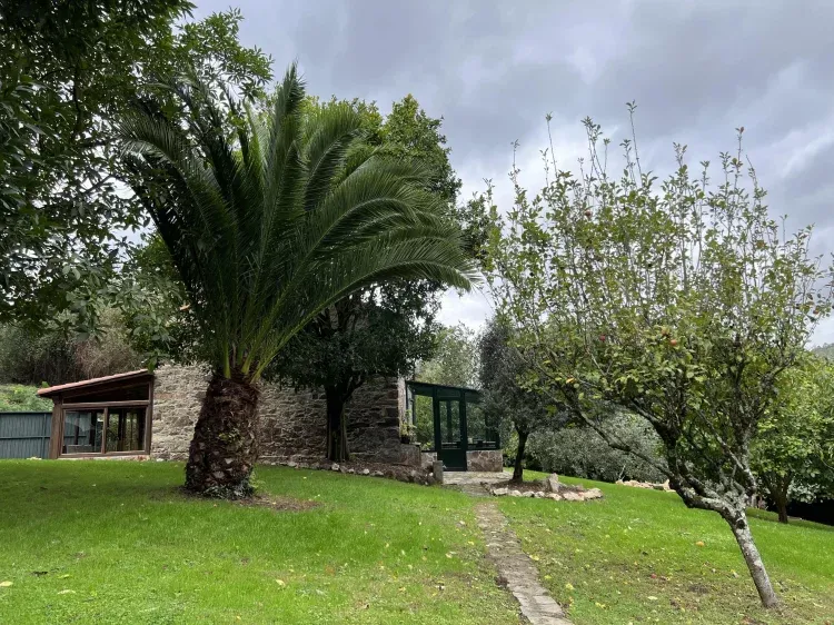 Imagen de Jardín y fachada