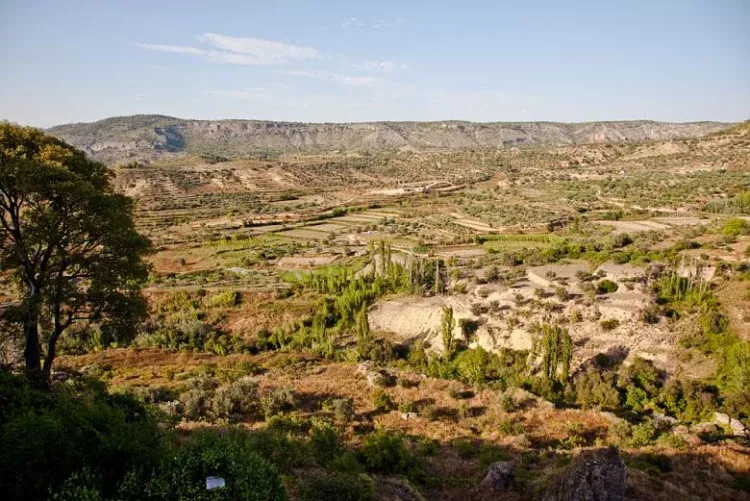 Imagen de Vistas desde la casa
