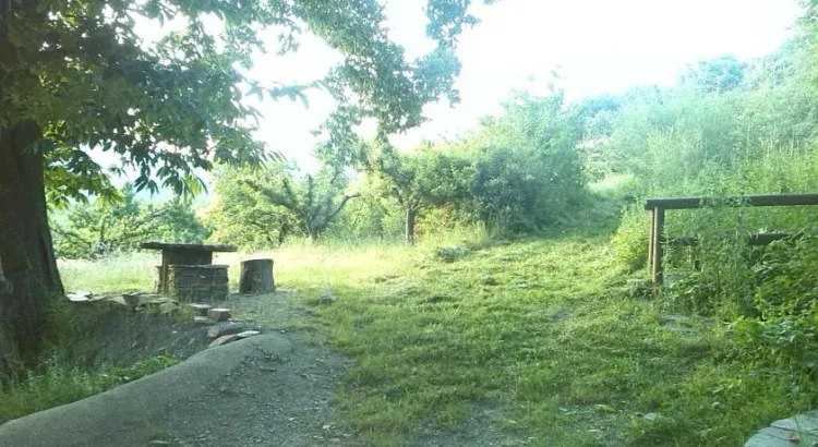 Imagen de Mesa picnic