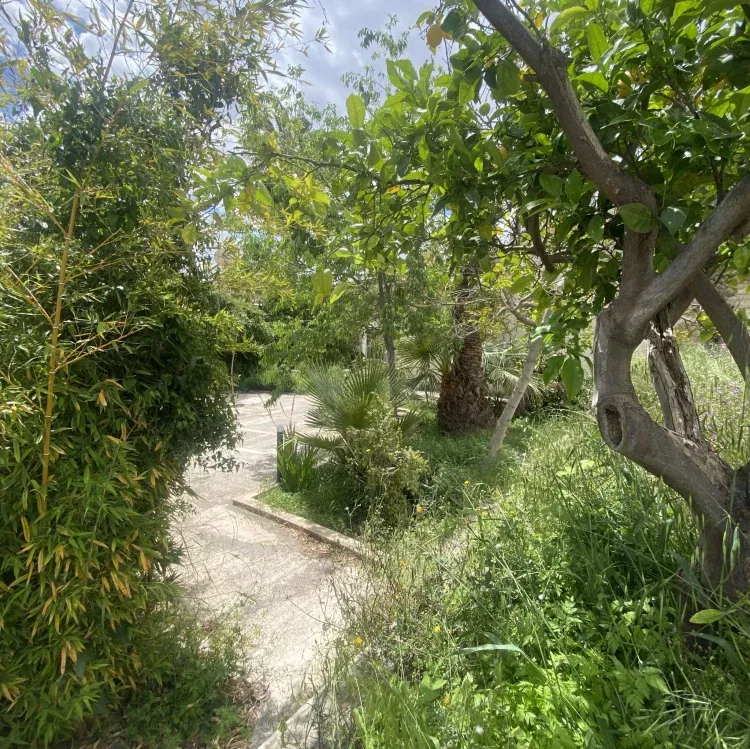 Imagen de El huerto cuenta con zonas caminos y distintas zonas