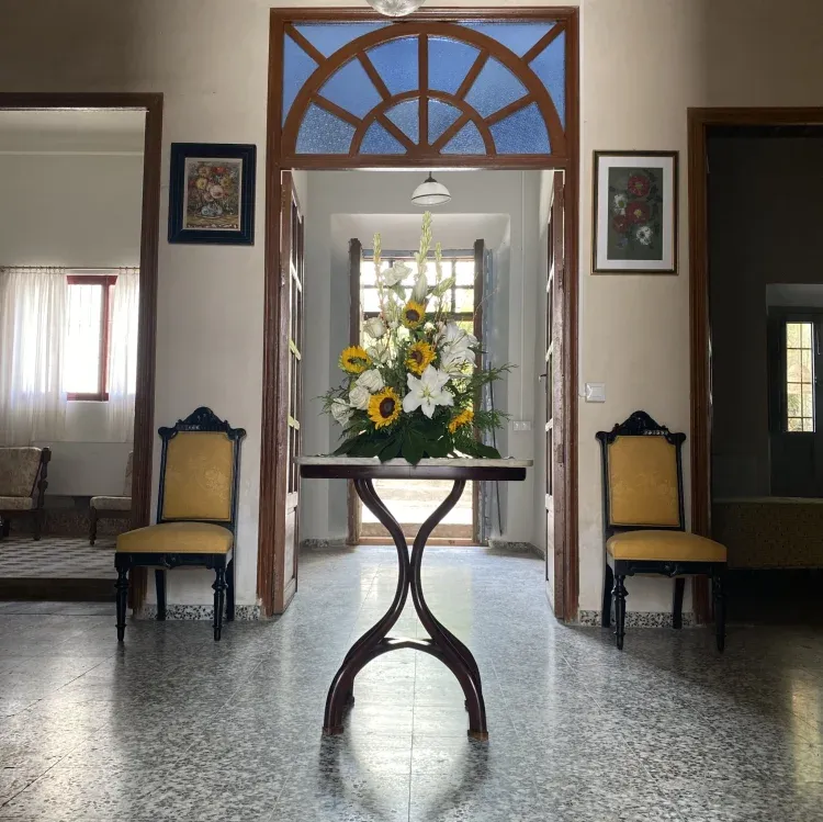 Imagen de Vestibulo de entrada, elegante y muy amplio