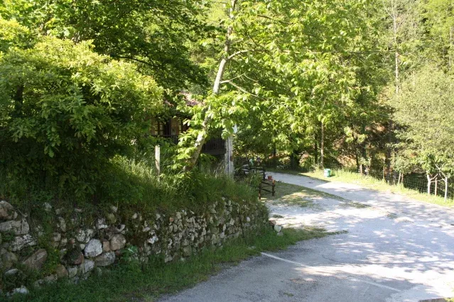 Imagen de Vista de la casa entre naturaleza