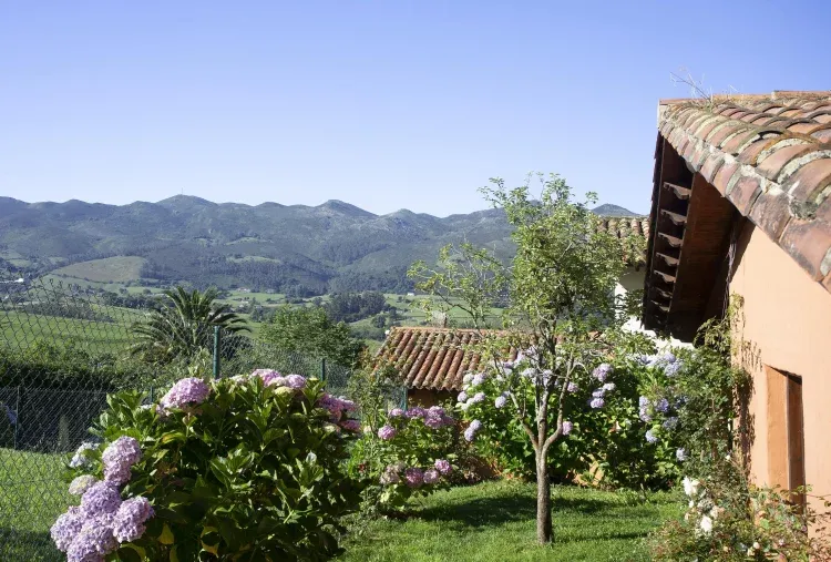Imagen de Jardines