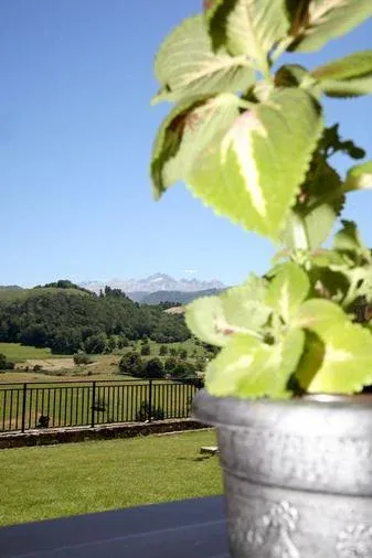 Imagen de VISTAS