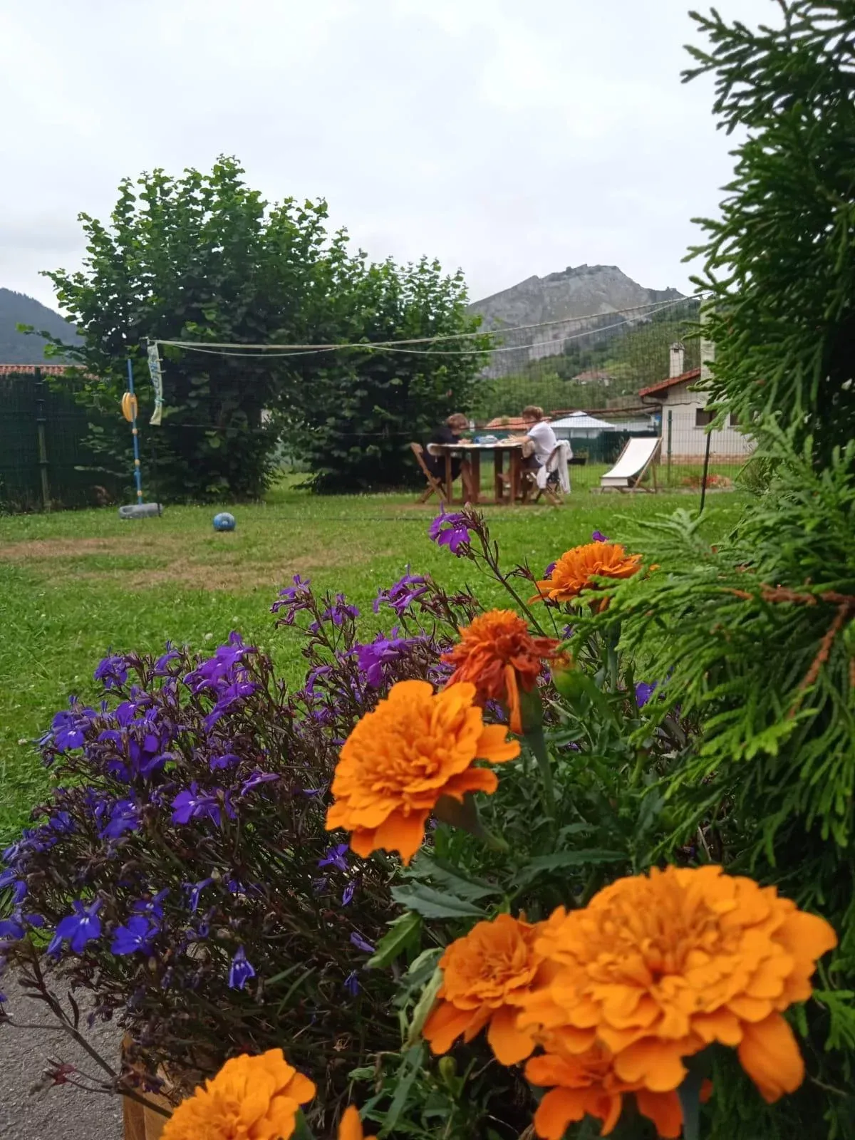 Imagen de Jardín