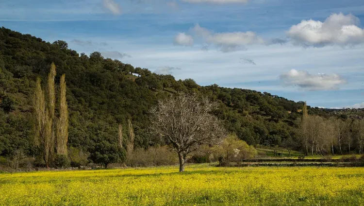 Imagen de Paisaje