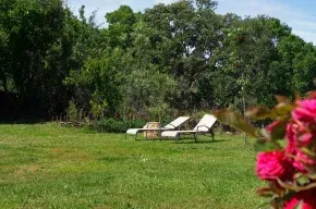 Imagen de Casa Rural el Castaño
