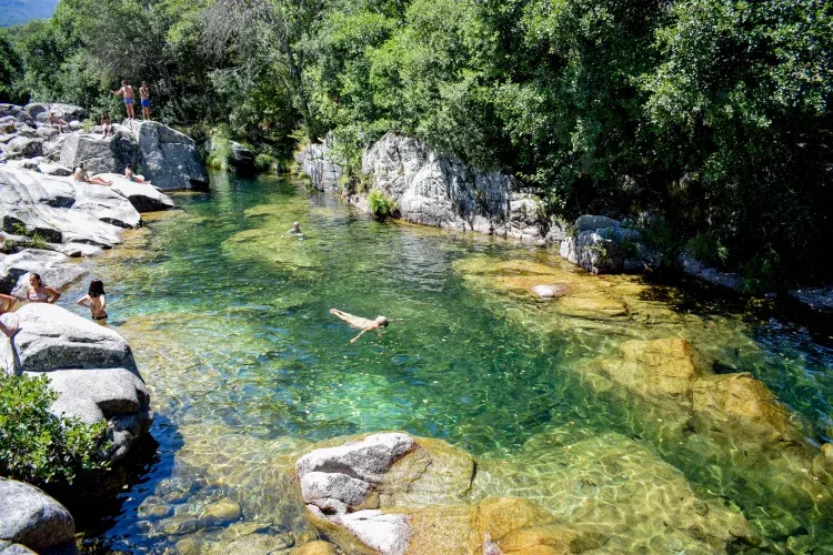 Imagen de Charco en gredos casa rural corral del nido
