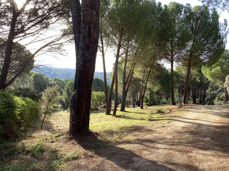 Imagen de Acceso a finca: adentraros y al final del camino encontraréis la íntima y exclusiva casa donde se alojará vuestro grupo