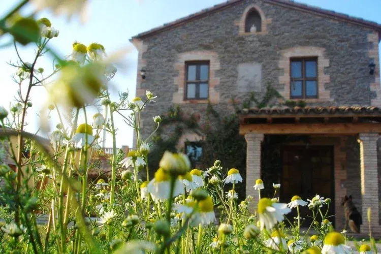 Imagen de Primavera