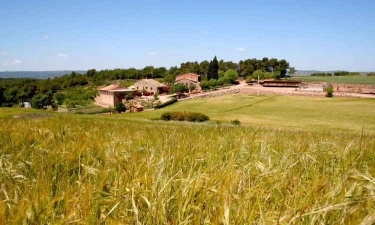 Imagen de Entornos casa rural