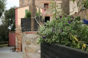 Imagen de Castell Vell