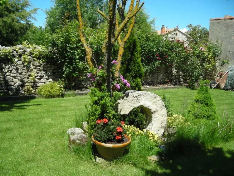 Imagen de Detalle jardín