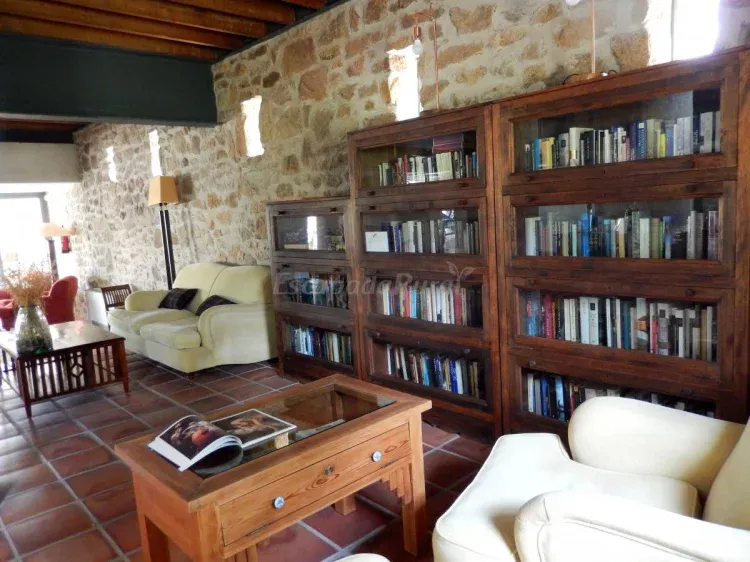 Imagen de Salón. Zona biblioteca