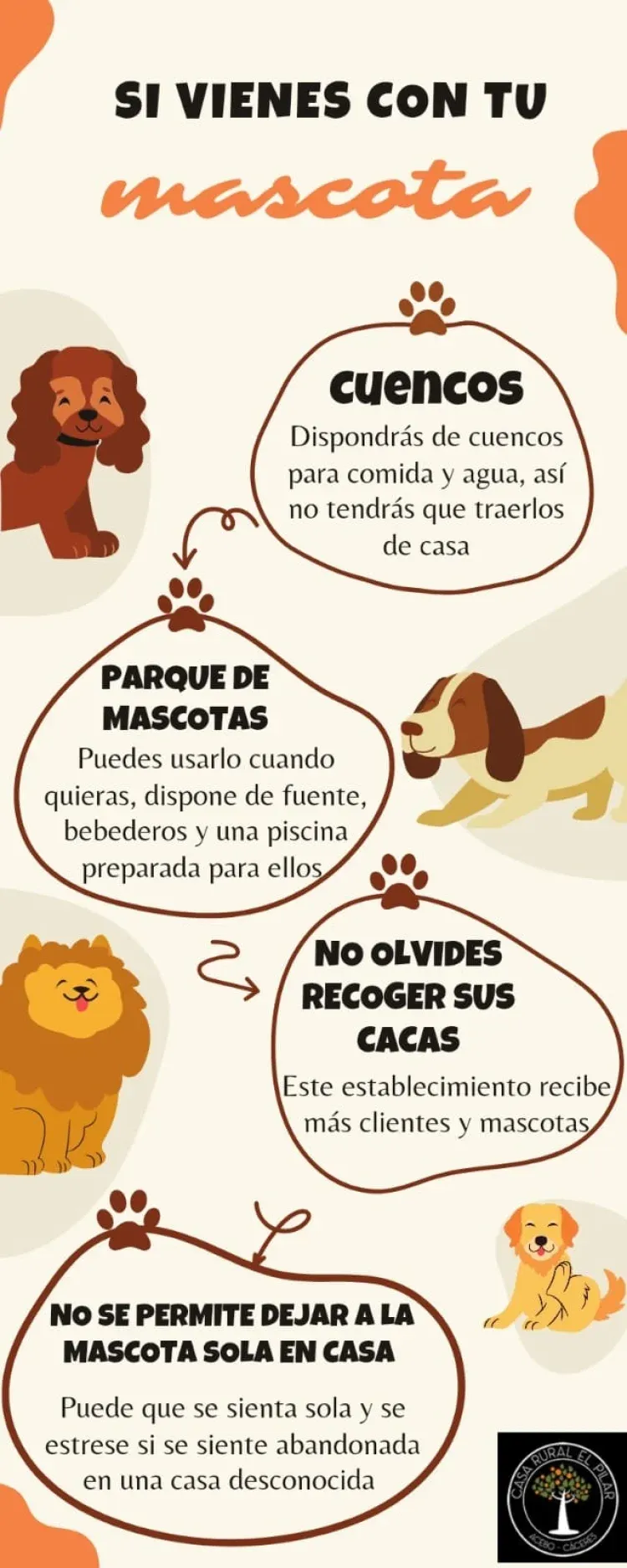 Imagen de Mascotas