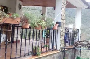 Imagen de Casa del Ratón y la Rana