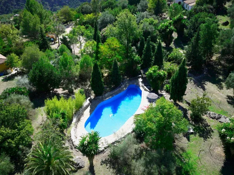 Imagen de Piscina privada El Cortijo