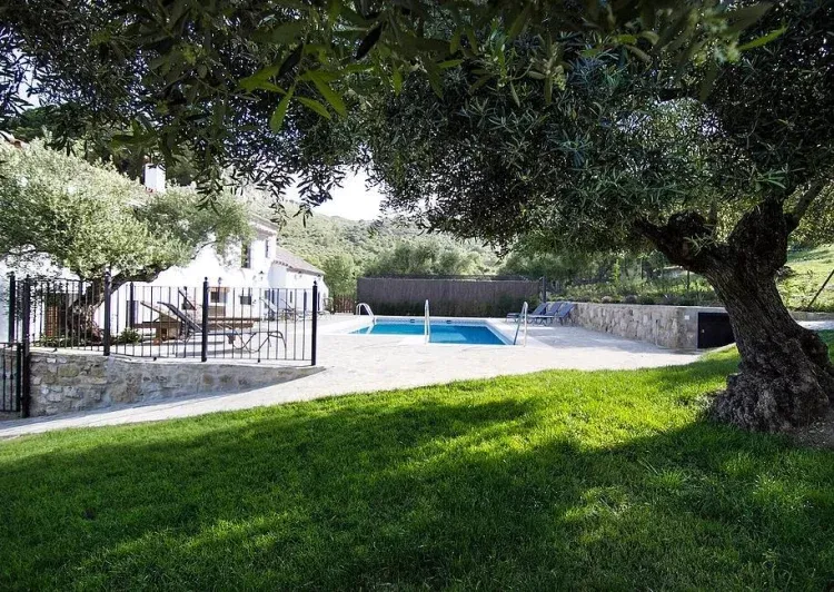 Imagen de Jardín