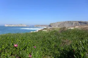 Imagen de Casa Charo