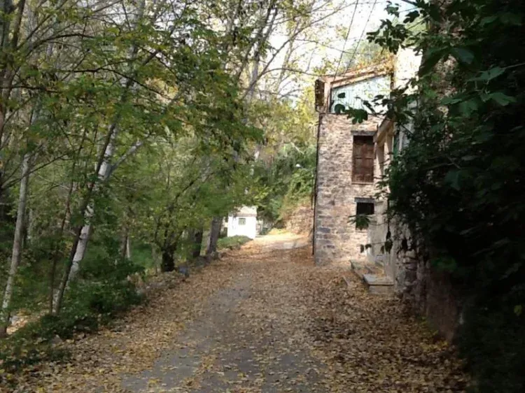 Imagen de Calle de la casa, junto al rio.