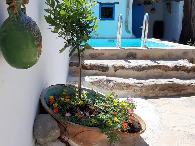 Imagen de Piscina