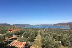 Imagen de Las Cabañas del Pantano