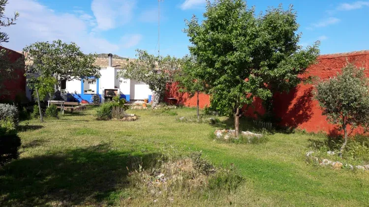 Imagen de Detalle patio exterior