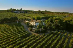 Imagen de Finca Buytron