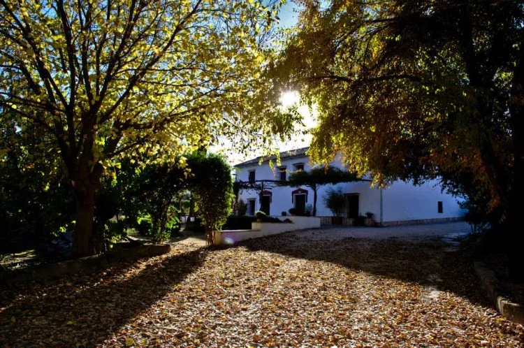 Imagen de Buytrón en Otoño