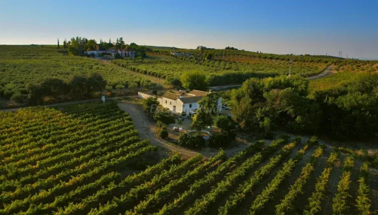 Imagen de Vista aérea de la finca