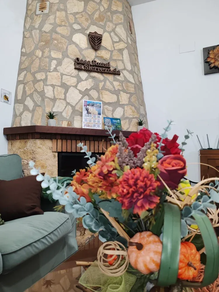 Imagen de CHIMENEA