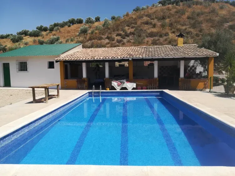 Imagen de Piscina 50m