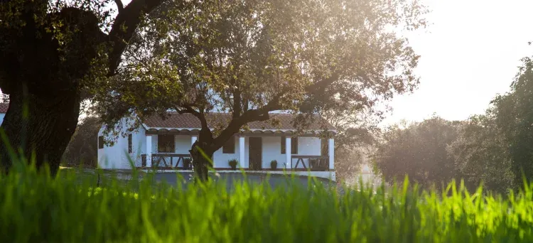 Imagen de Casa en la dehesa de encinas