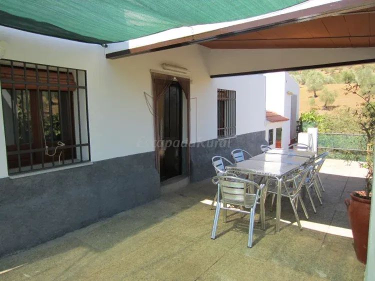 Imagen de Terraza