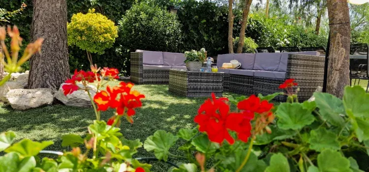 Imagen de jardín