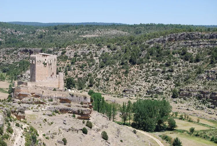 Imagen de Castillo siglo XI