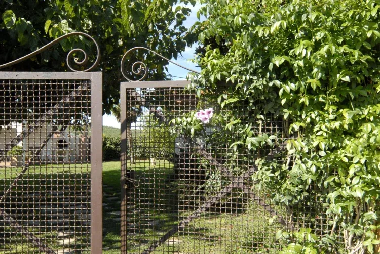 Imagen de Bienvenidos