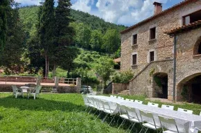 Imagen de La Falguera