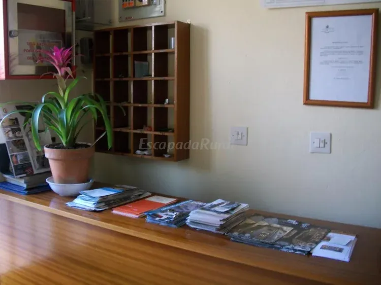 Imagen de Recepción