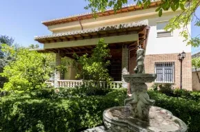 Imagen de Rosa del Romeral