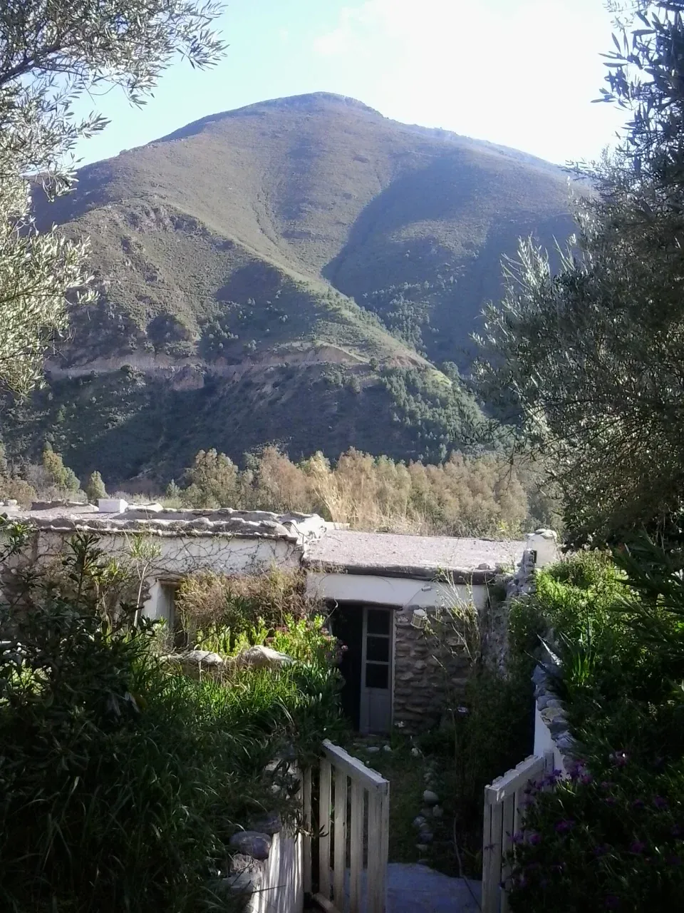 Imagen de Vistas 