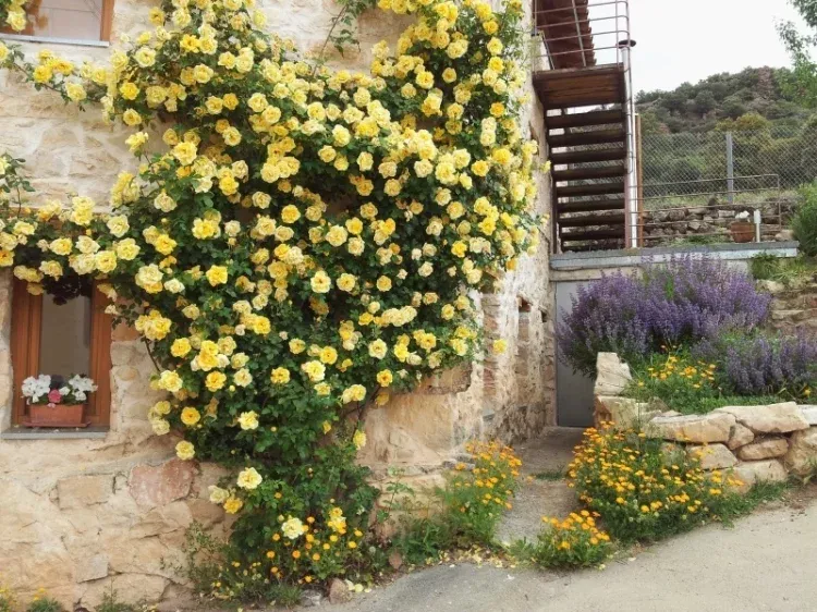 Imagen de El exterior de la casa