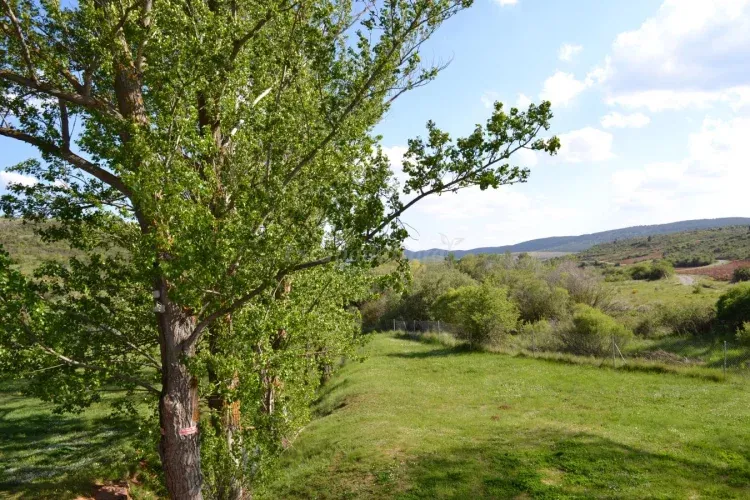 Imagen de Vistas desde los balcones