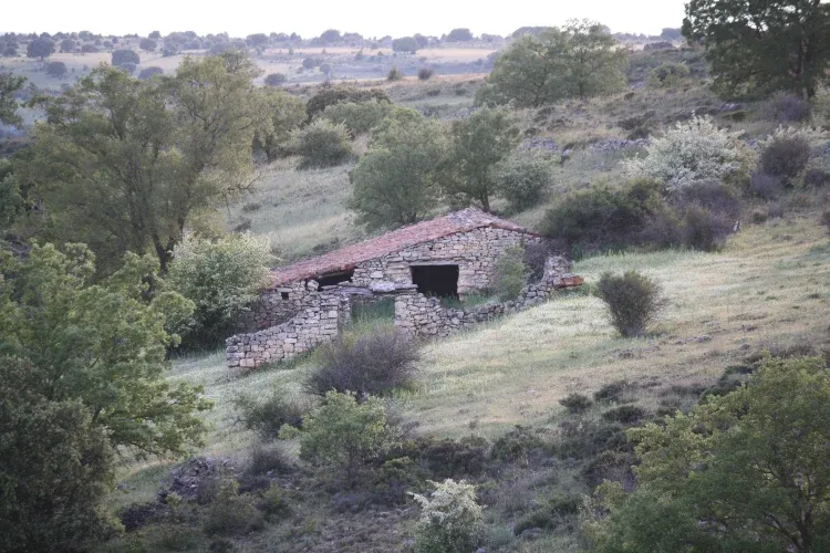Imagen de Entorno
