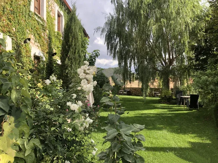 Imagen de jardín