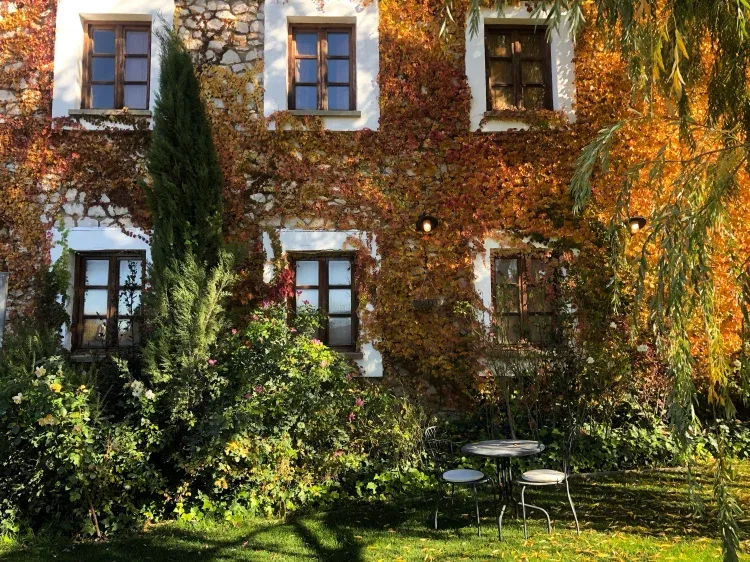 Imagen de jardín en otoño