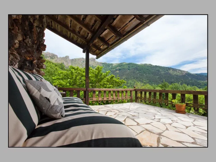 Imagen de Terraza¡ya casi es primavera!