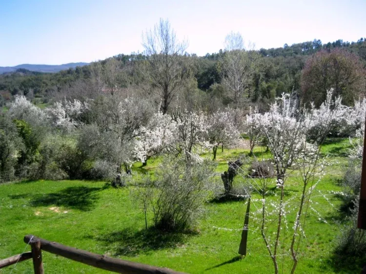 Imagen de Vistas